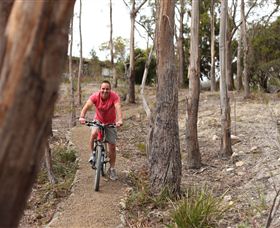 Tranquil Point Retreat - New South Wales Tourism  1