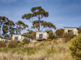 Swansea Beach Chalets - New South Wales Tourism  0