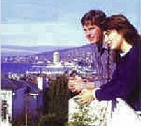 Blue Hills Motel - New South Wales Tourism  1