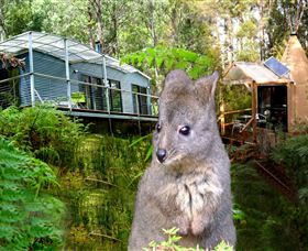 Huonville TAS New South Wales Tourism 