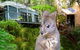 Huon Bush Retreats - thumb 0