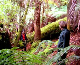 Huon Bush Retreats - New South Wales Tourism  3
