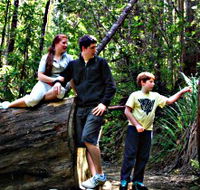Tahune Airwalk Lodge