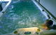 Huon Valley Eco Wilderness Retreat - thumb 4