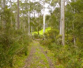 Huon Valley Eco Wilderness Retreat - New South Wales Tourism  5