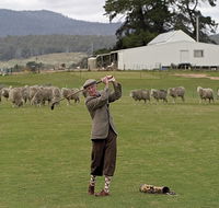 Park House Accommodation - New South Wales Tourism 