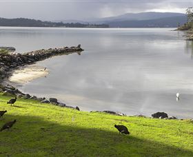 Huon Charm Waterfront Cottage - New South Wales Tourism  3