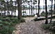 Eco Camping And Glamping Family And Pet Friendly, Secluded And Private Safe And Secure By Appointment Only - thumb 1