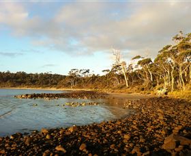 Bruny Island Experience - New South Wales Tourism  4