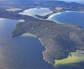 Bruny Island Experience - New South Wales Tourism  5