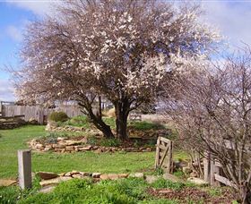 Lakeview Cottage - New South Wales Tourism  3