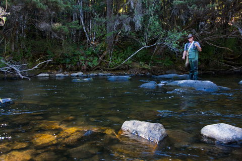Tyenna River Cottage - New South Wales Tourism  1