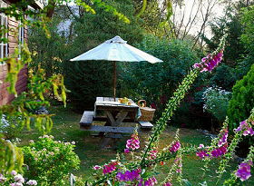 Horse Haven Farmstay - New South Wales Tourism  1