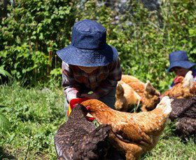 Taras Richmond Farmstay - New South Wales Tourism  1