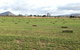 Taras Richmond Farmstay - thumb 5