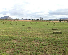 Taras Richmond Farmstay - New South Wales Tourism  5