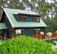 Tree Tops Cascades - New South Wales Tourism 