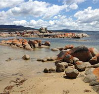 Lake Eckersley campground - New South Wales Tourism 