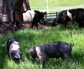 Hurlfield Farm Cottage - New South Wales Tourism  2