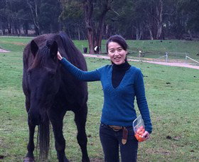 Hurlfield Farm Cottage - New South Wales Tourism  5