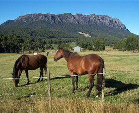 Hurlfield Farm Cottage - New South Wales Tourism  4