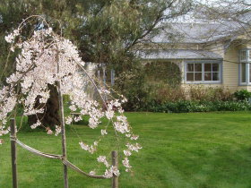 Barrington TAS New South Wales Tourism 