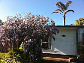 North East Apartments - New South Wales Tourism  1