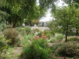 Boat Harbour Garden Cottages - New South Wales Tourism  0