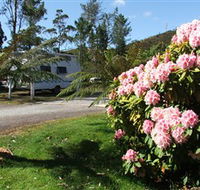 Zeehan Bush Camp  and Caravan Park - New South Wales Tourism 