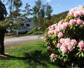 Zeehan Bush Camp  And Caravan Park - New South Wales Tourism  0