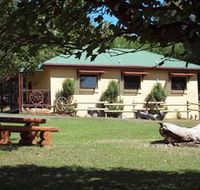 Springfield Deer Farm - New South Wales Tourism 
