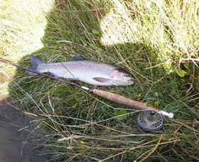 Quamby Pines Chalet B & B - New South Wales Tourism  5