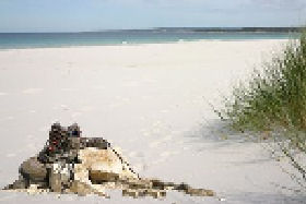 Caravan And Camping Mulbring NSW New South Wales Tourism 