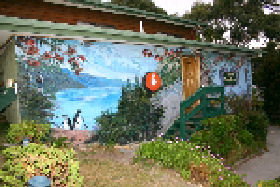 Bicheno Backpackers Hostel - New South Wales Tourism  1