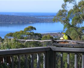 Bed In The Treetops - New South Wales Tourism  2