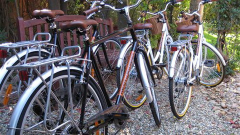 Finches Of Beechworth - New South Wales Tourism  2