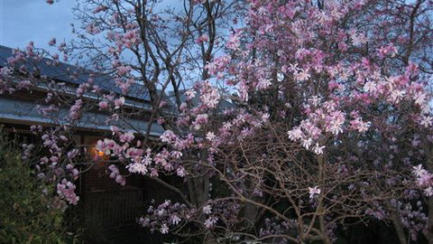 Finches Of Beechworth - New South Wales Tourism  3