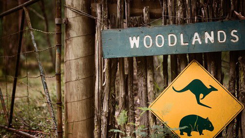 Fernshaw VIC New South Wales Tourism 