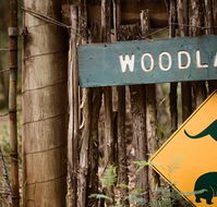 Woodlands Rainforest Retreat - New South Wales Tourism 