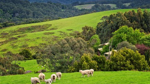 Johanna River Farm And Self Contained Cottages - New South Wales Tourism  1