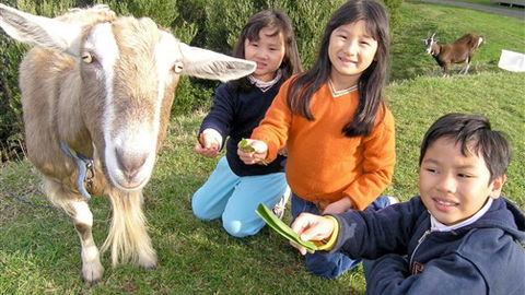 Johanna River Farm And Self Contained Cottages - New South Wales Tourism  0