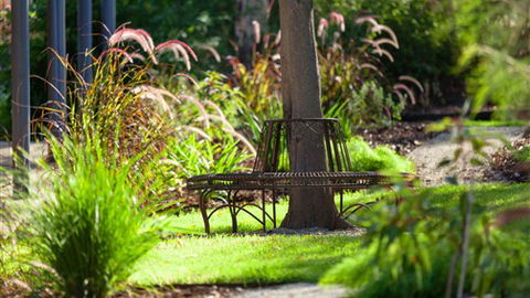 Comfort Inn & Suites Blazing Stump - New South Wales Tourism  5