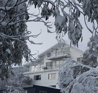 Attunga Alpine Lodge and Apartments - New South Wales Tourism 