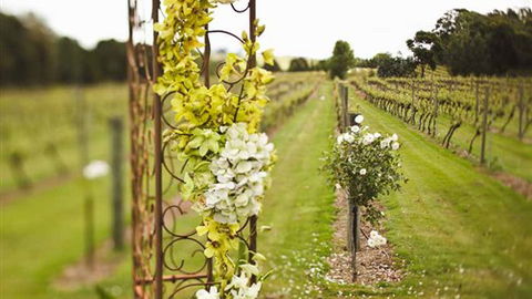 Glen Erin At Lancefield - New South Wales Tourism  8