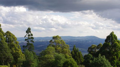 Lyrebird Cottages - New South Wales Tourism  4