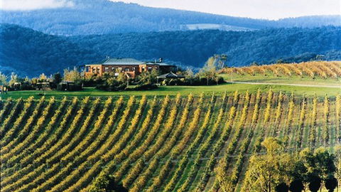 Yering Gorge Cottages - New South Wales Tourism  1