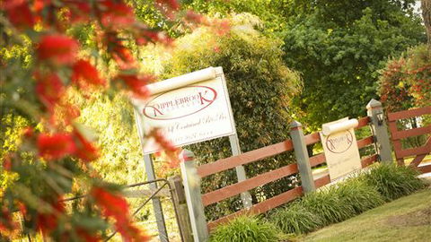 Ripplebrook Cottages - New South Wales Tourism  0