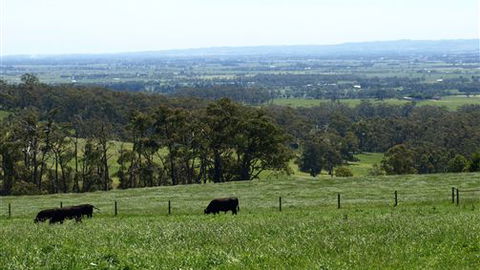 Ripplebrook Cottages - New South Wales Tourism  7