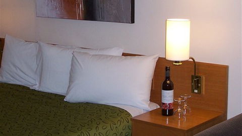 Hermitage Motor Inn - New South Wales Tourism  2