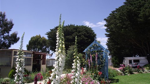 Colac Otway Caravan & Cabin Park - New South Wales Tourism  1